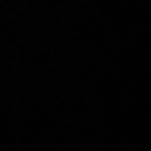 Meet your Posher, Jazmin